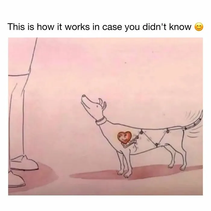 Wholesome dog memes illustration showing a dog tail wagging mechanism connected to its heart.