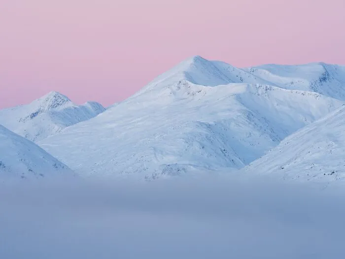 Snowy mountain peaks glowing under a soft pink sky in a natural landscape photograph.