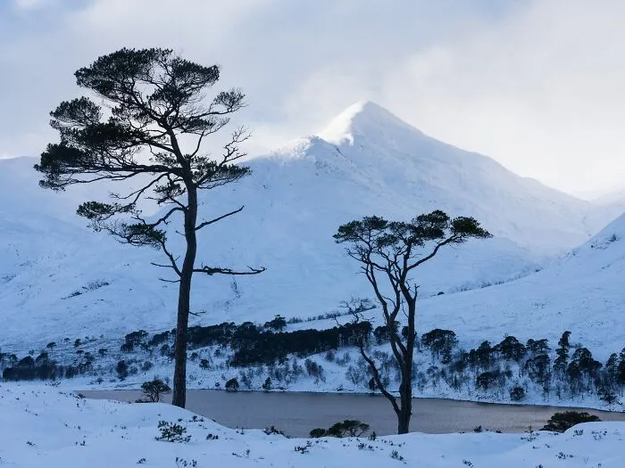 Snow-covered mountain peak and winter trees featured in Natural Landscape Photography Awards.