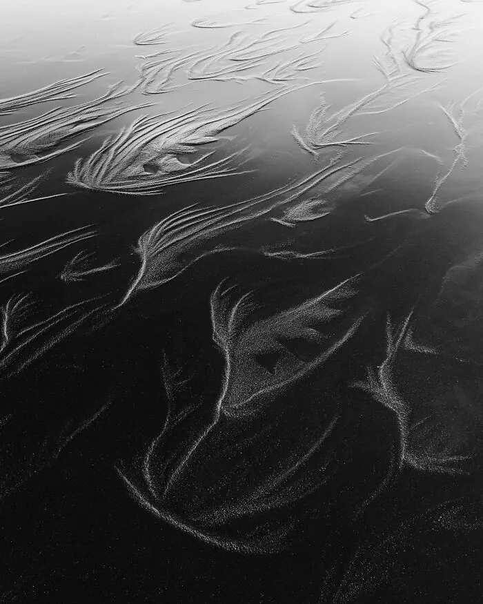 Black and white natural landscape photography displaying feather-like textures in wet beach sand.