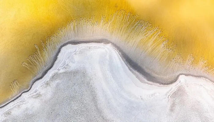 Aerial view of abstract shoreline textures and yellow mineral water in natural landscape photography