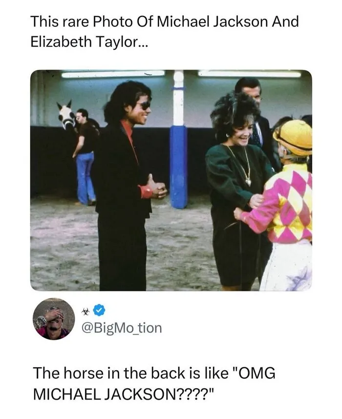 Funny memes about a rare photo of Michael Jackson, Elizabeth Taylor, and a horse in the background.