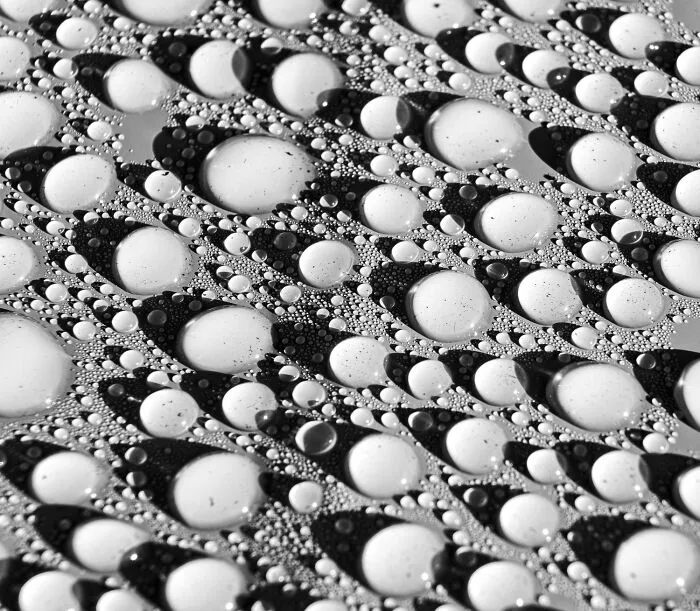 A black-and-white photo featuring water droplets on a surface from the 2026 Exposure One Awards.