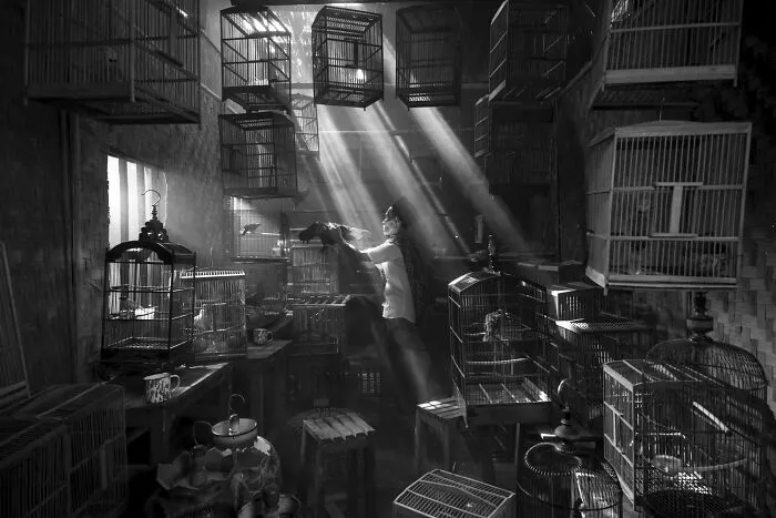 A black-and-white photo of a person surrounded by bird cages from the 2026 Exposure One Awards.