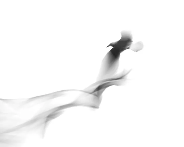 A black-and-white photo of a bird flying through the air from the 2026 Exposure One Awards.