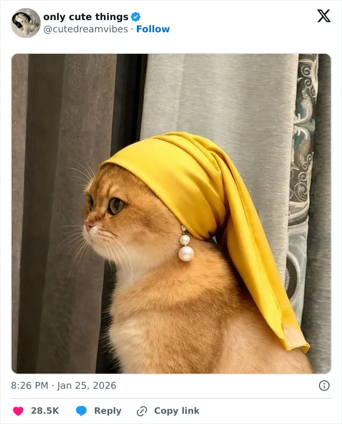Cat wearing yellow headscarf and pearl earrings in adorable fashion moment
