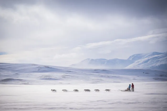 A sled dog team pulling a sled across a vast snowy landscape, from the Dog Photography Awards selection.