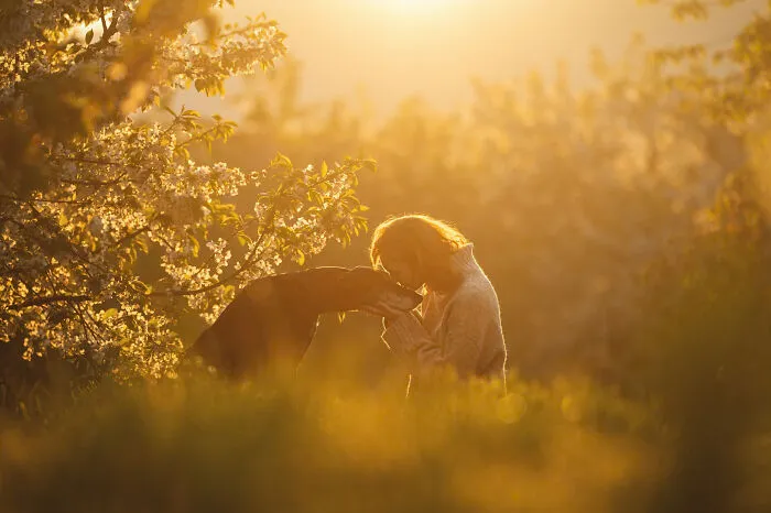 A woman sharing a tender moment with her dog at golden hour, from the Dog Photography Awards.