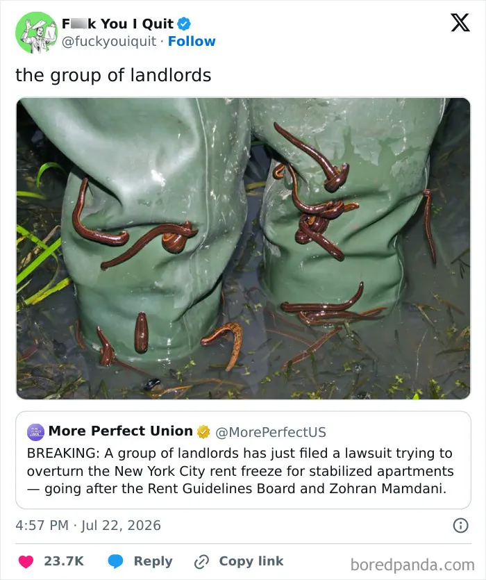 Photo of leeches on pants symbolizing landlords suing against rent freeze in NYC
