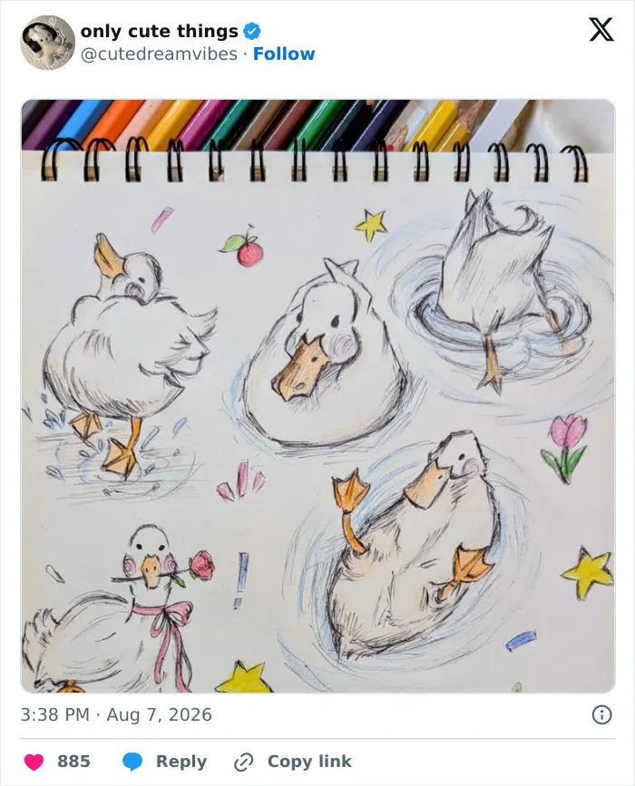 Sketches of ducks in various playful poses with colorful stars and flowers