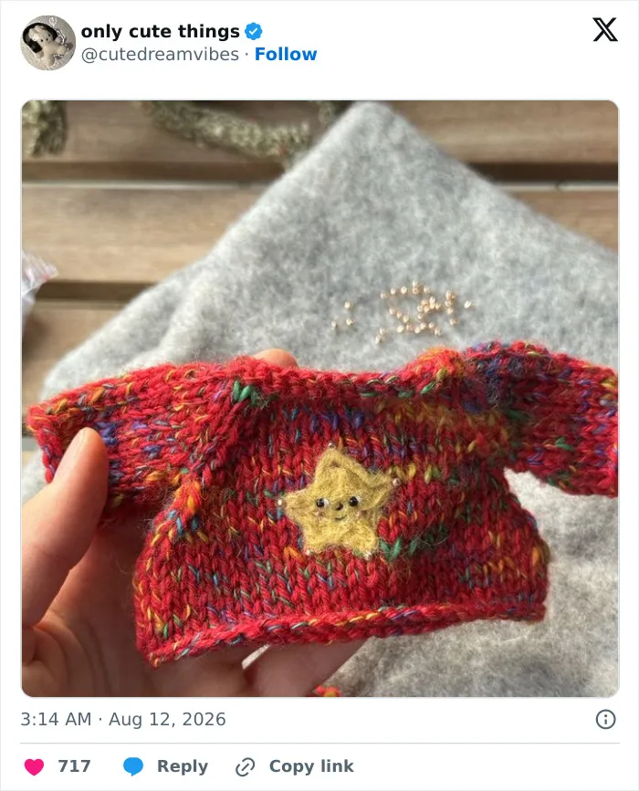 Hand holding a tiny red knitted sweater with a star patch