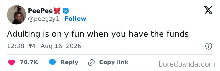 Adulting meme noting it's only fun when you have funds