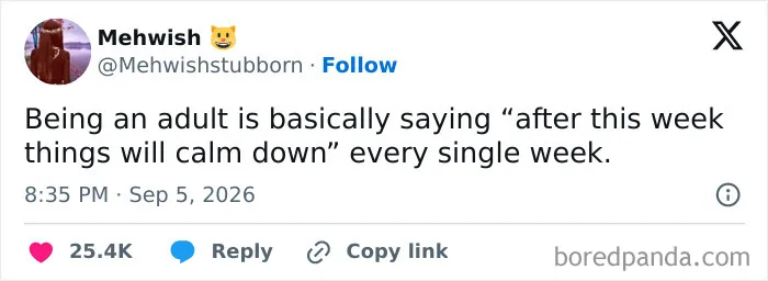 Memes about adulting saying things never calm down every week