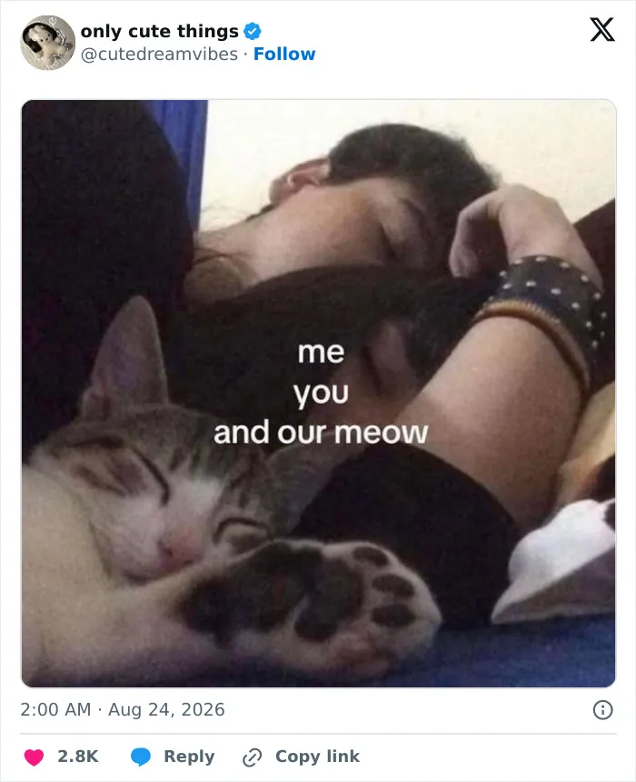 Couple sleeping peacefully with their cat, highlighting adorable moments in life