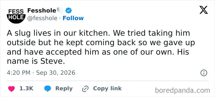 Anonymous confessions post about adopting a kitchen slug named Steve.
