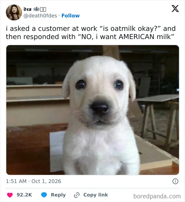 A funny work tweet featuring a confused puppy staring after a strange customer request