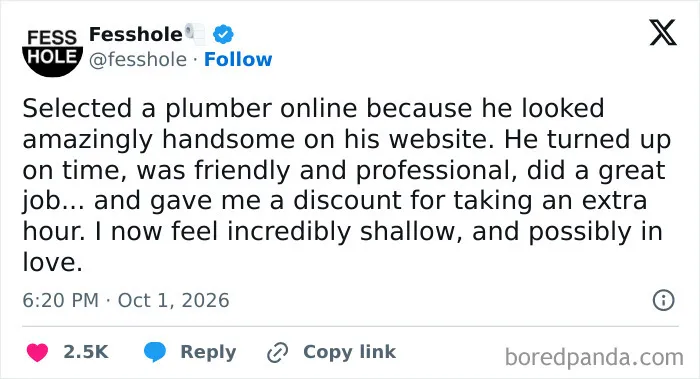 Anonymous confessions screenshot about hiring a handsome plumber and falling in love.