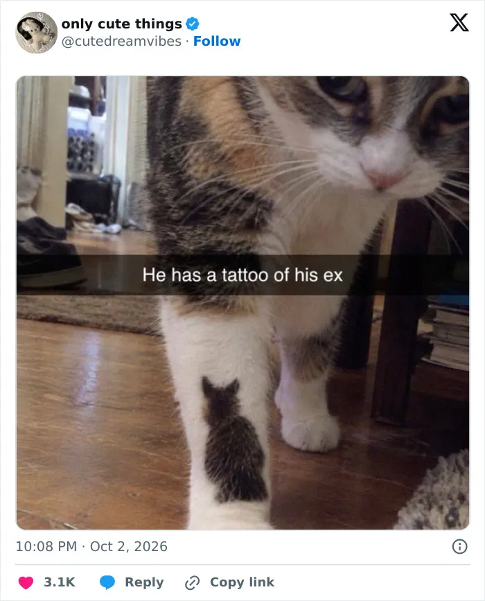 Cat with a tattoo-like fur pattern of a kitten on front leg adorable posts