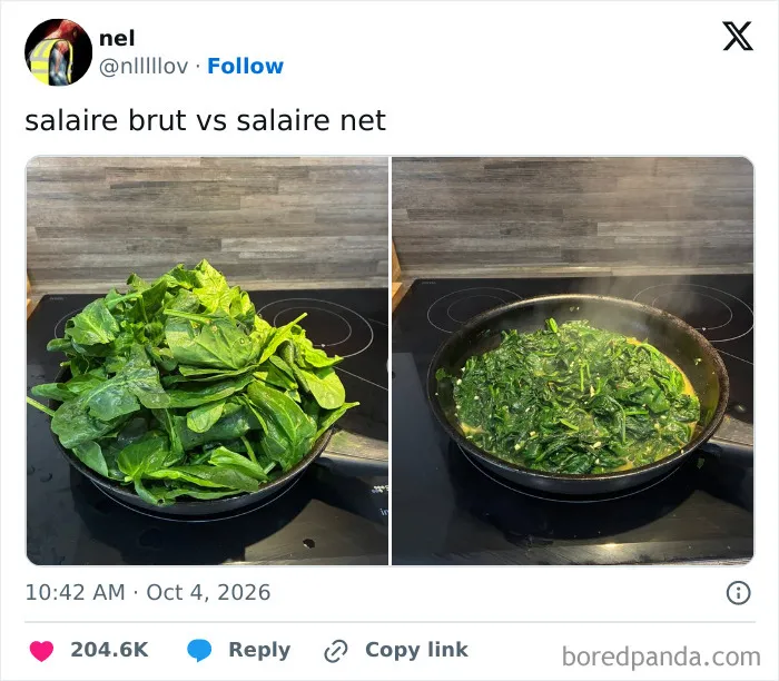 Meme showing spinach shrinking in pan illustrating salary before and after deductions