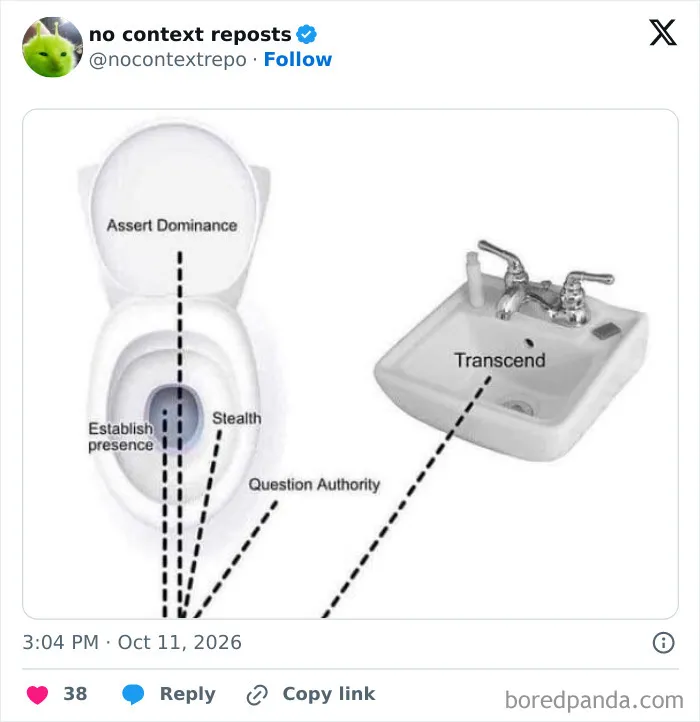 Diagram meme showing toilet and sink labeled with dominance and transcend terms