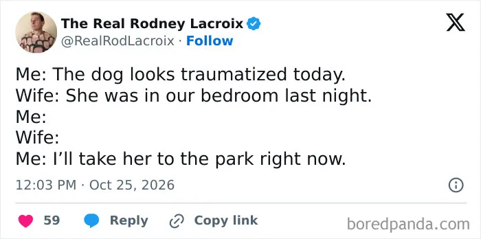 One of the hilarious tweets about a husband realizing why his dog looks traumatized