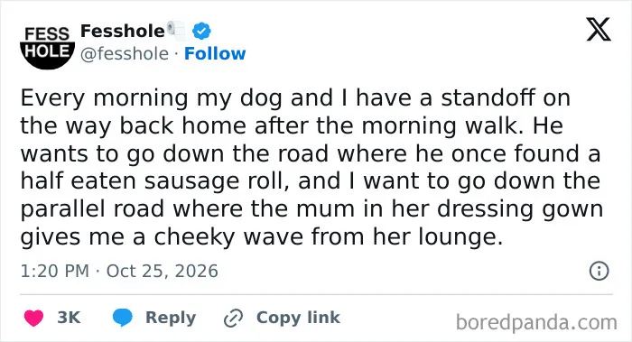 Post sharing anonymous confessions about morning dog walks, sausage rolls, and a neighbor in a dressing gown.