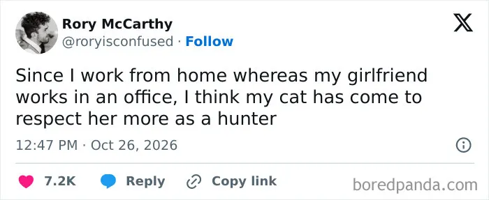 Hilarious tweet about a cat respecting a girlfriend more as a hunter because she works in an office.