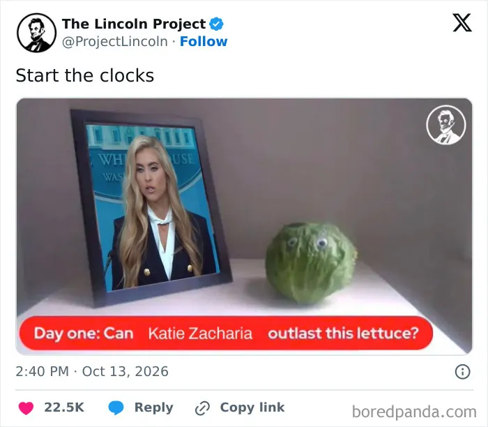 Hilarious tweets screenshot asking if Katie Zacharia can outlast a lettuce head with googly eyes