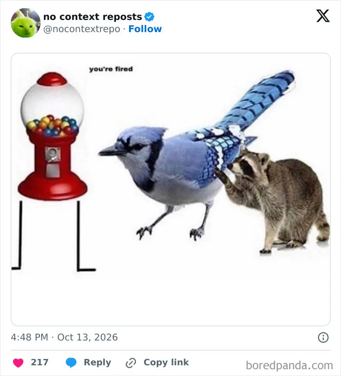 Meme of raccoon pushing blue jay bird with gumball machine labeled youre fired