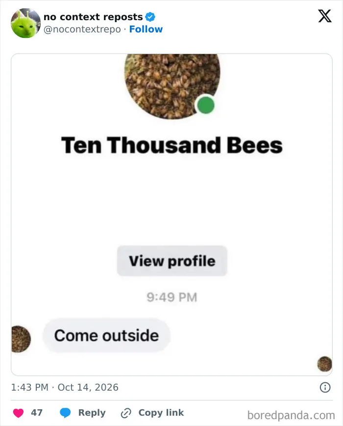 Funny meme about ten thousand bees messaging come outside