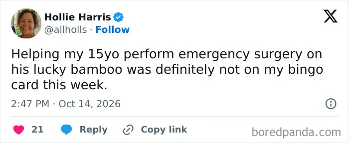 Amusing tweet describing emergency surgery on a lucky bamboo plant, shared in a collection of relatable parenting tweets.