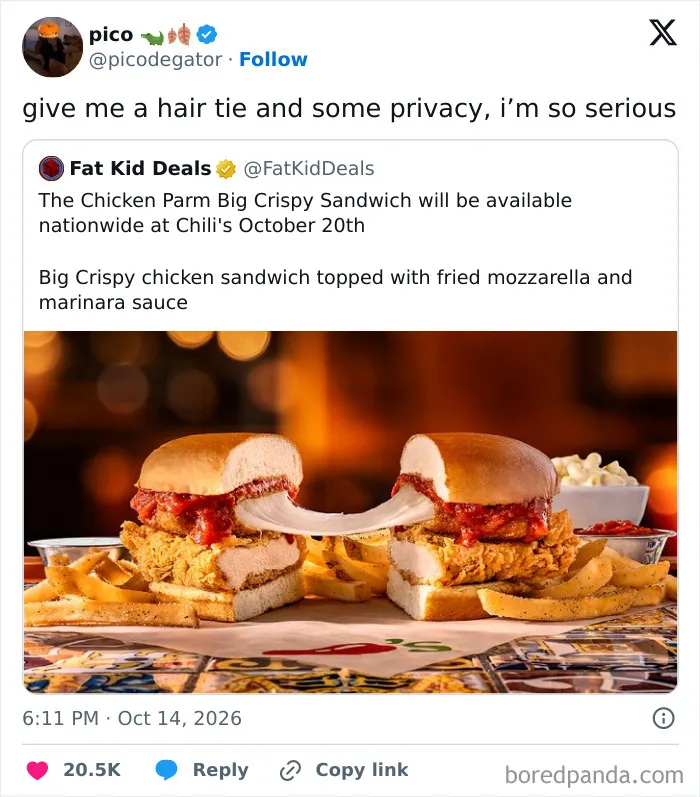 A post showing a crispy chicken sandwich from hilarious tweets people shared that will make food lovers laugh.
