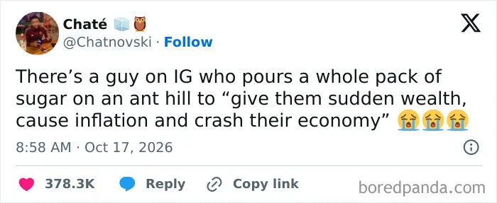 A post shared online among hilarious tweets about giving sugar to ants