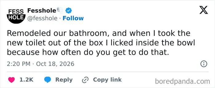 Anonymous confession tweet about licking a brand new toilet bowl after remodeling.