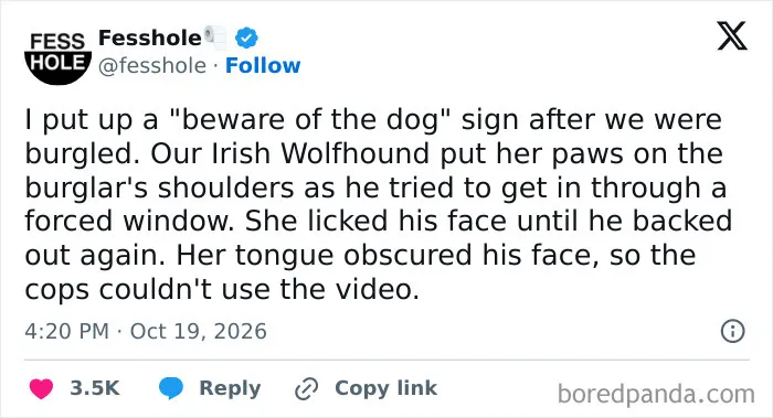 A screenshot of one of the anonymous confessions about a dog who licked a burglar.