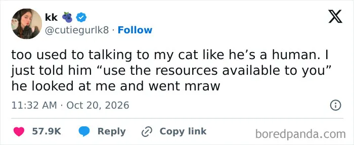 One of the hilarious tweets shared this October by user kk about talking to her cat like a human.