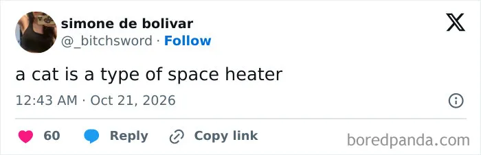 A hilarious tweet about cats as space heaters.