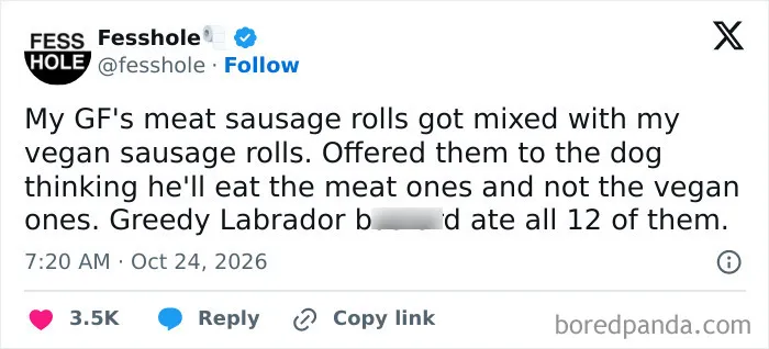 Anonymous confessions about a dog eating both meat and vegan sausage rolls.