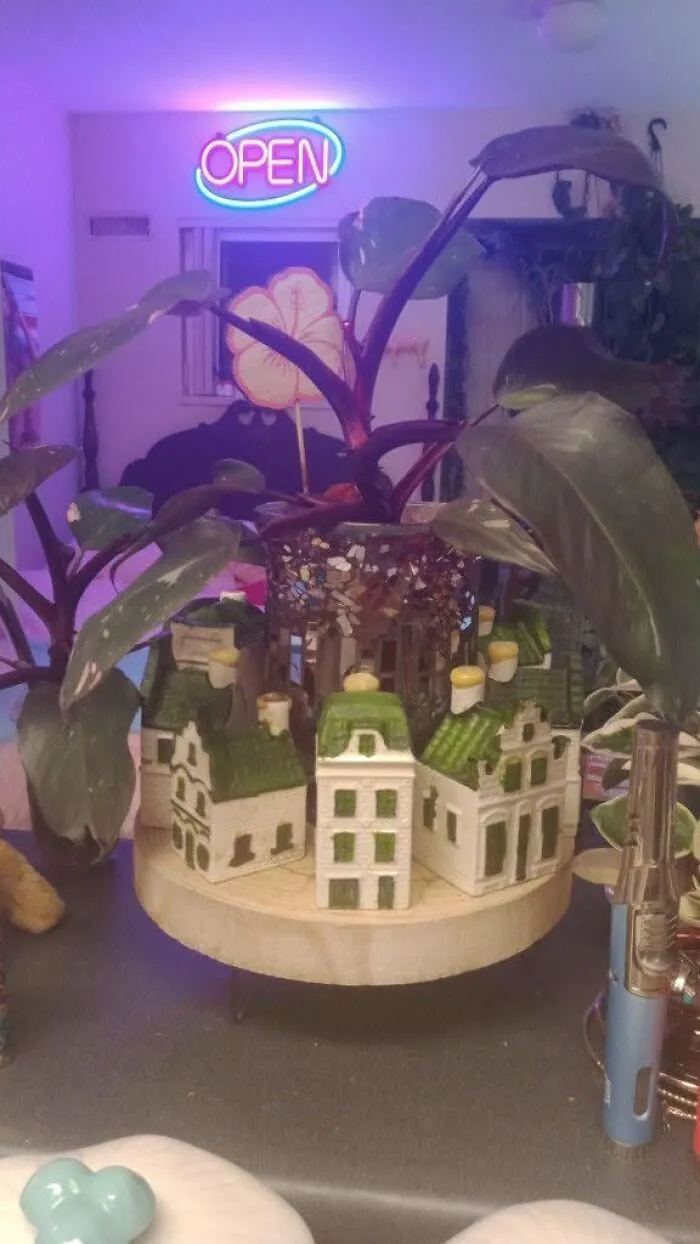 Potted houseplant surrounded by miniature ceramic white houses, a unique thrift find centerpiece