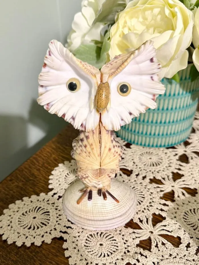 A handmade owl figurine constructed entirely from seashells, an eccentric thrift store find on display.