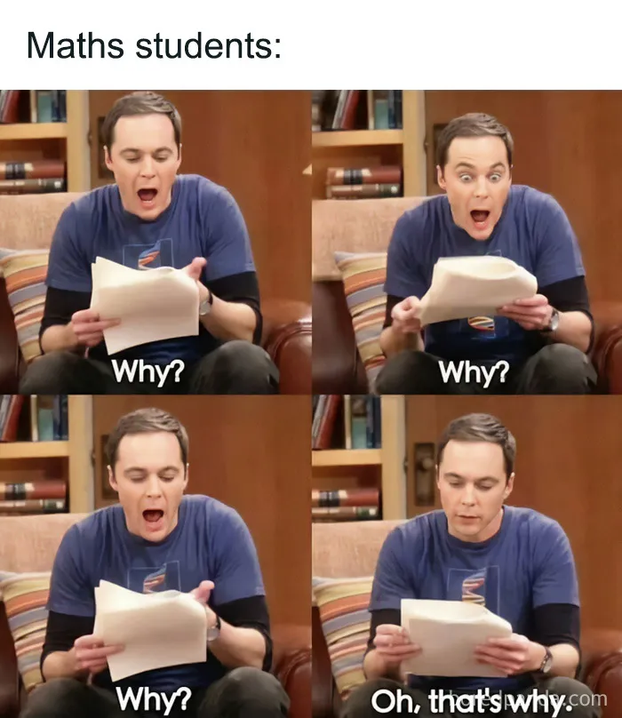 Four-panel meme of Sheldon Cooper repeatedly asking why, from amusing physics posts about math students.