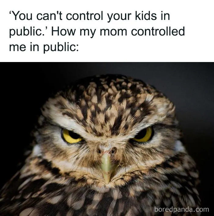 Relatable animal memes feature an owl staring intensely with yellow eyes in a funny parenting post.