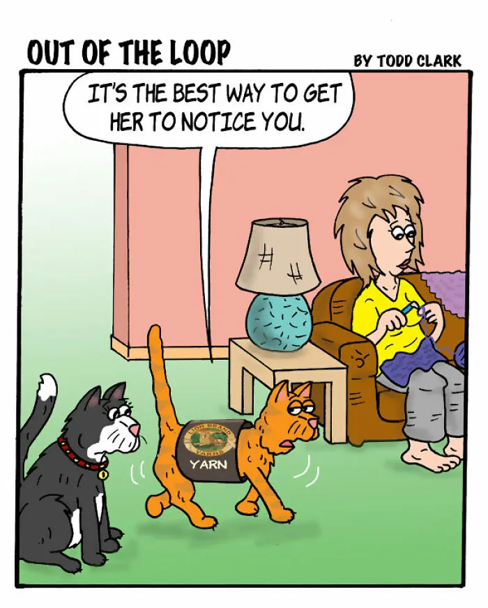An orange cat wearing a yarn sleeve, featured in satirical comics.