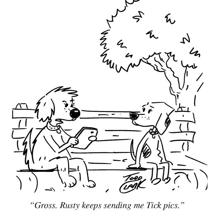 Satirical comics drawing of two dogs sitting on a park bench talking about receiving tick pics