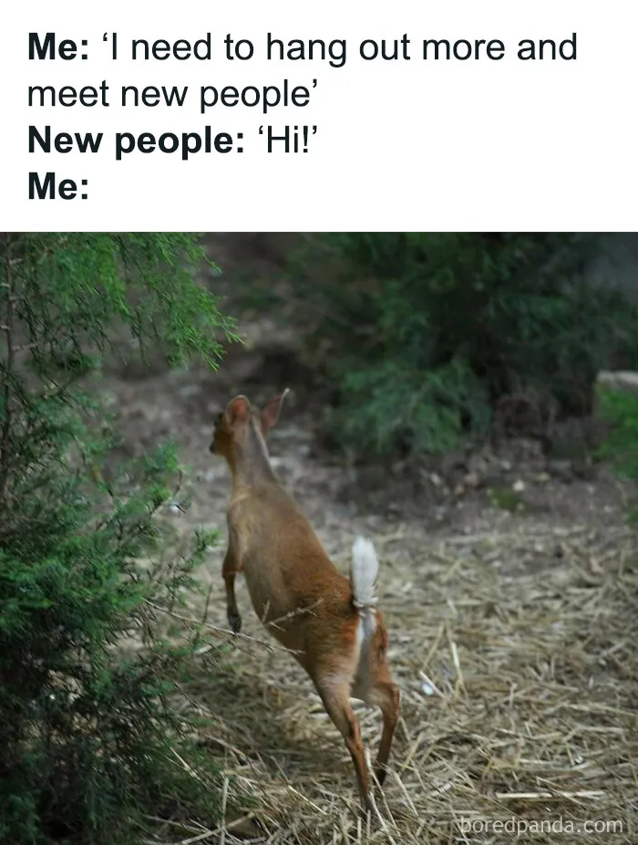 A small deer leaping away into bushes in a relatable animal meme about avoiding social interactions.