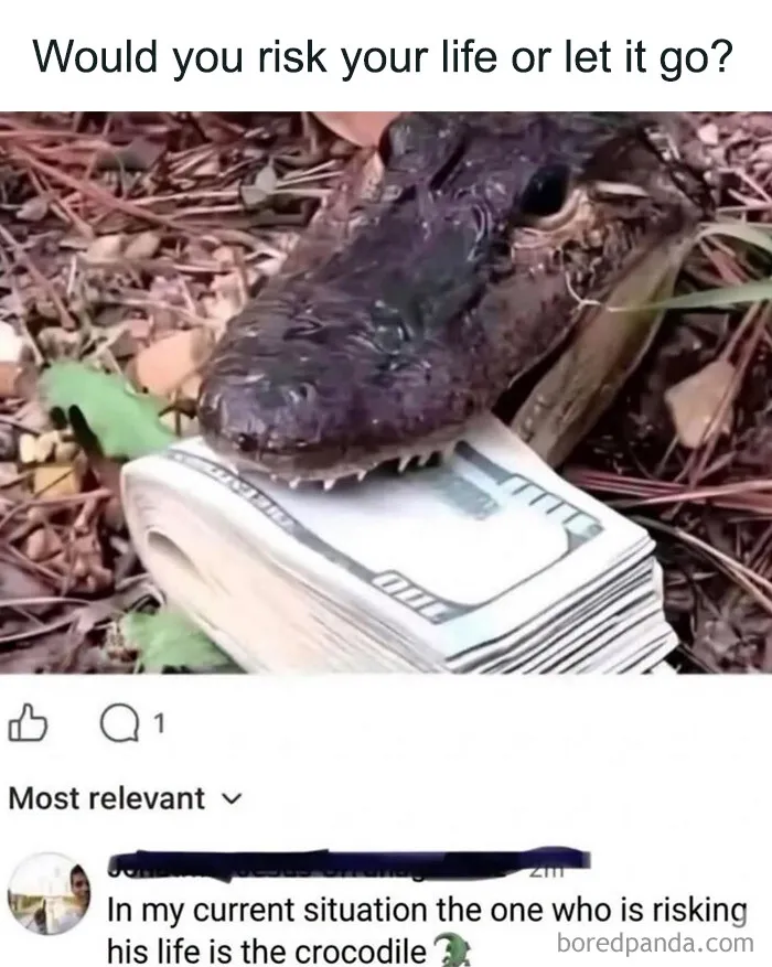 Edgy memes of a crocodile holding a stack of cash with a humorous comment about risking life