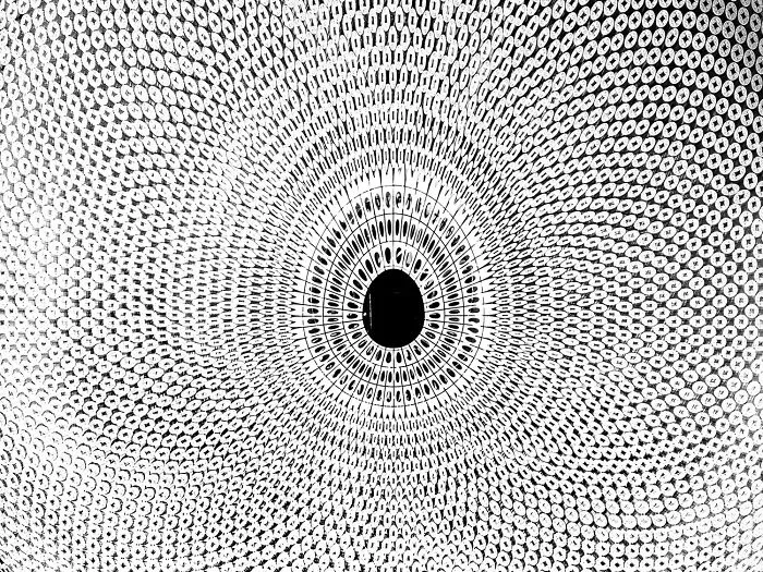 Abstract mesmerizing spiral pattern in black-and-white photos from Exposure One Awards