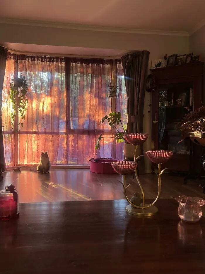 Warm golden sunlight streaming through purple curtains into a cozy room as part of a home makeover.