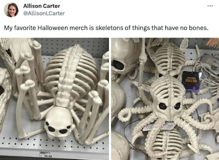 Skeleton decorations of spiders and octopuses for spooky season fans