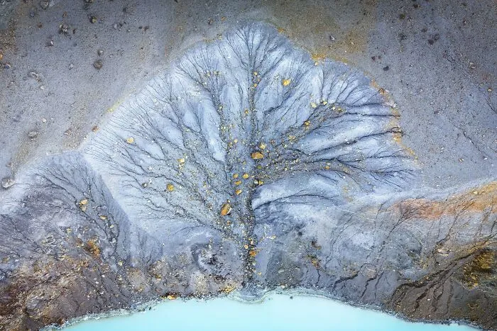 Aerial view of tree-like erosion patterns in earth for the Natural Landscape Photography Awards